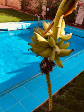 Lovely 4-bedroom with Pool and Nice Garden at Green Oasis Resort
